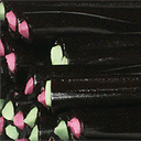 http://84.96.22.69/sweetsdiscountbank/minipic/10001.gif